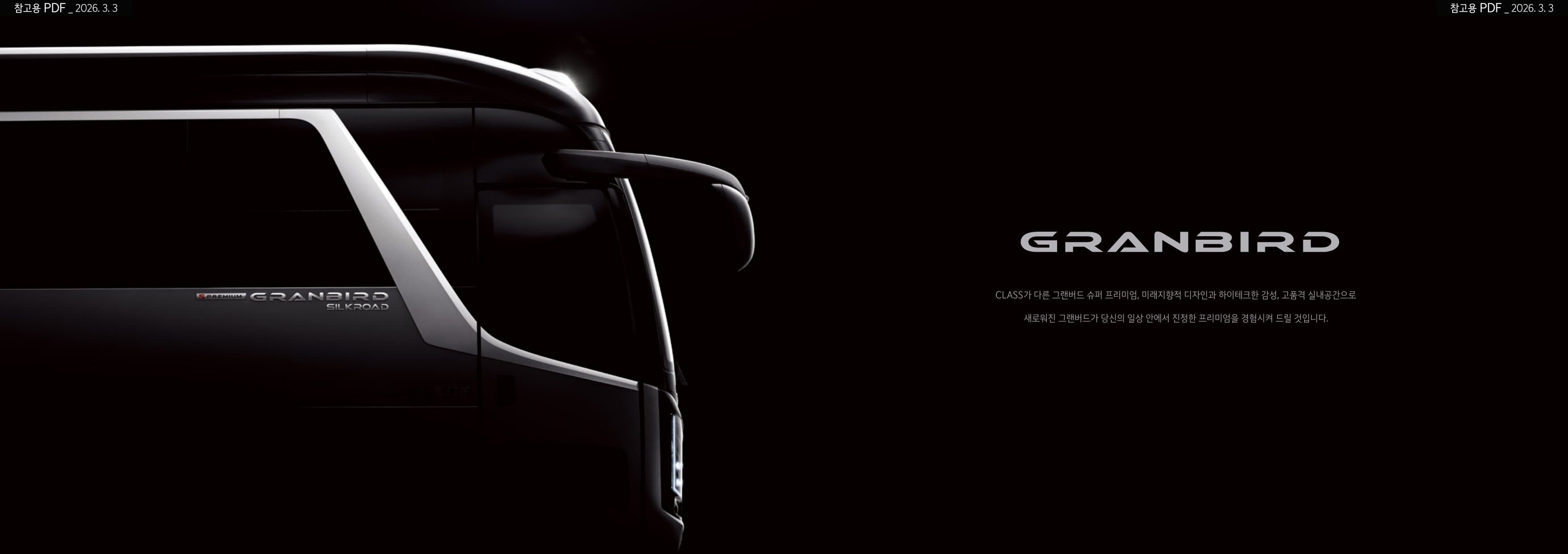 KIA Granbird (45-Seat) p2